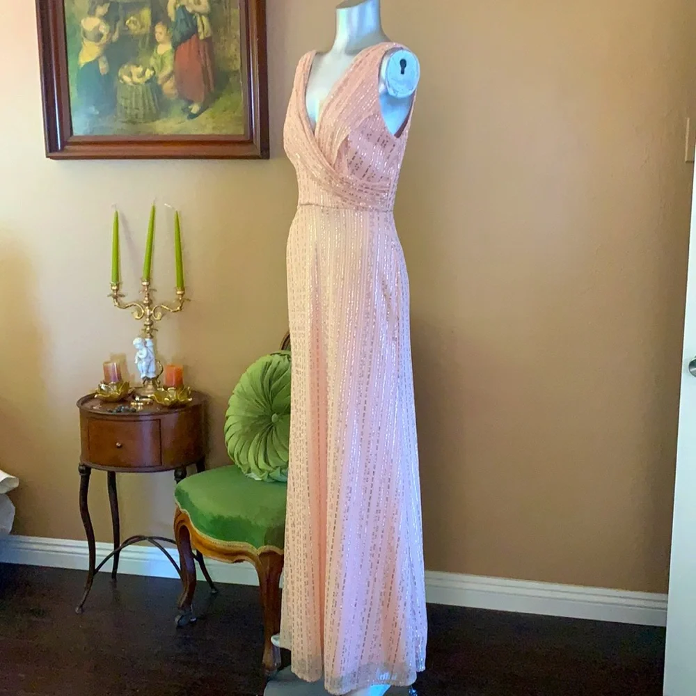 NWT DFI Los Angeles Long Blush Sequin Dress.  Sz M